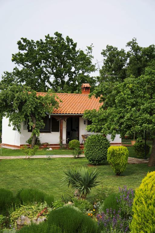 Sergo Case de vacanță Poreč